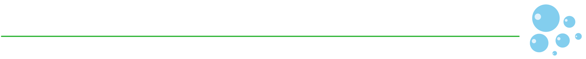 section divider