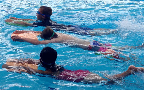 Tauranga Swim School