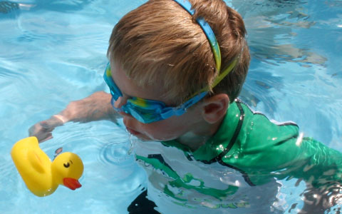 Swimming Lessons Tauranga